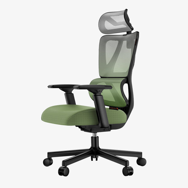 EC100 Ergonomic Mesh Office Chair (Gradient Green)